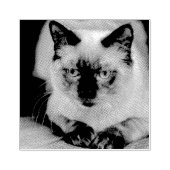 Aangepaste kat huisdier foto rubberstempel (Afrduk)