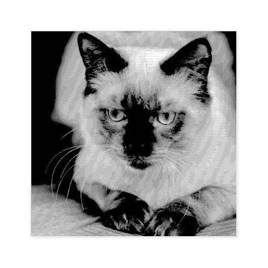 Aangepaste kat huisdier foto rubberstempel (Afrduk)