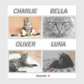 Aangepaste katfoto- en kattennaam Persoonlijk pakk Sticker (Vel)