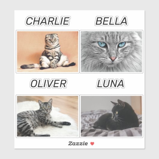 Aangepaste katfoto- en kattennaam Persoonlijk pakk Sticker (Vel)
