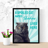 Aangepaste katposter met 'Een verwendete kat woont Poster
