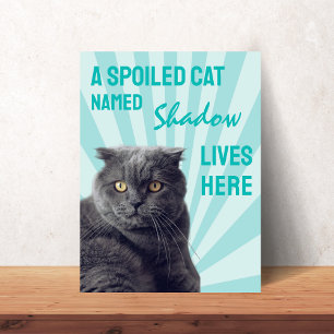 Aangepaste katposter met 'Een verwendete kat woont Poster