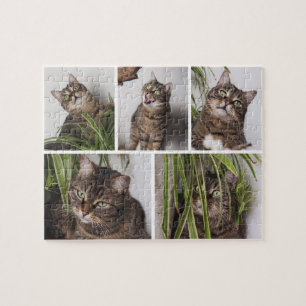 Aangepaste kattenfoto collage legpuzzel voor huisd