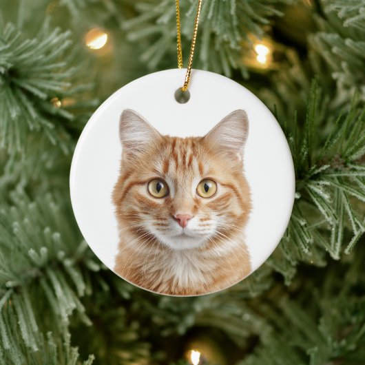 Aangepaste Kattenfoto Kerst Ornament (Boom)