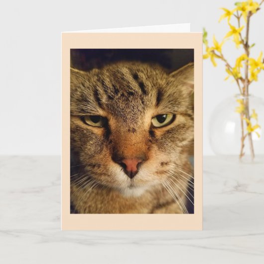 Aangepaste kattenfoto mis je kaart (Gele Bloem)
