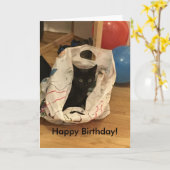 Aangepaste kattenfoto verjaardag kaart (Gele Bloem)