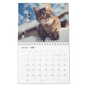 Aangepaste kattenfoto's kalender (Jan 2027)