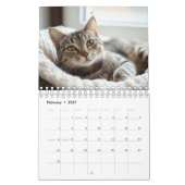 Aangepaste kattenfoto's kalender (Feb 2027)
