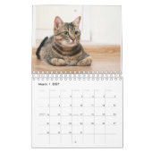 Aangepaste kattenfoto's kalender (Mar 2027)