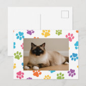 Aangepaste kattenliefhebber ansichtkaart met foto  briefkaart (Voorkant / Achterkant)