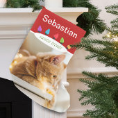Aangepaste kattennaam Foto Kleine Kerstsok
