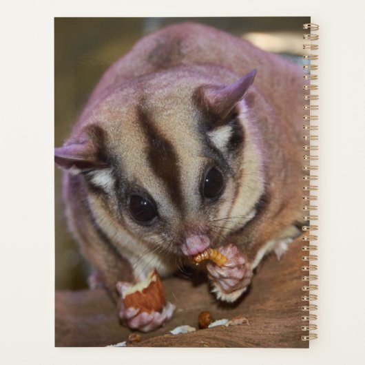 Aangepaste kattensuikerbietenvoeding planner (Achterkant)