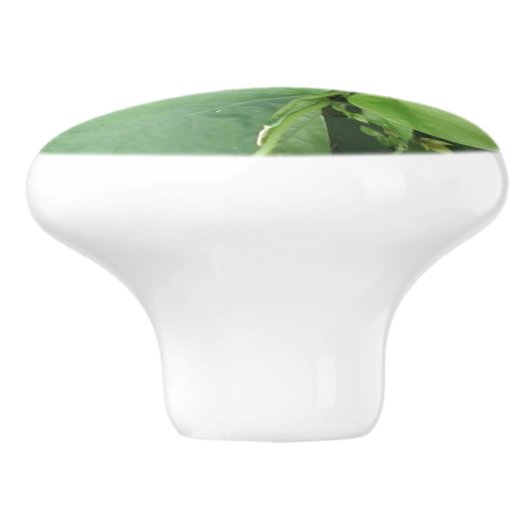 Aangepaste keramische knop met bloemen (Zijkant)