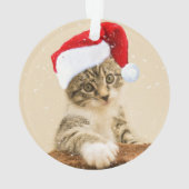 Aangepaste kerst Carol Cat foto gepersonaliseerd Ornament (achterkant)