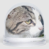 Aangepaste kerst sneeuw wereldbol met leuke huisdi sneeuwbol (Voorkant)