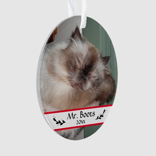 Aangepaste Kerst vakantie huisdier foto's Ornament (voorkant)