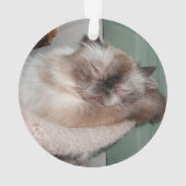 Aangepaste Kerst vakantie huisdier foto's Ornament (achterkant)