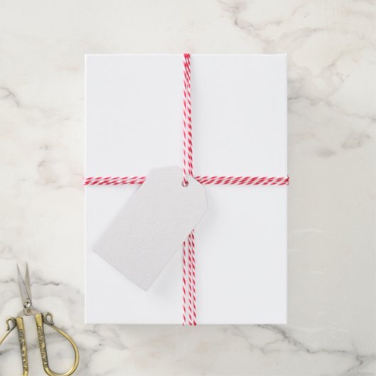 Aangepaste Kerst Wit Gift Label Blank Sjabloon Cadeaulabel (Met Touw)