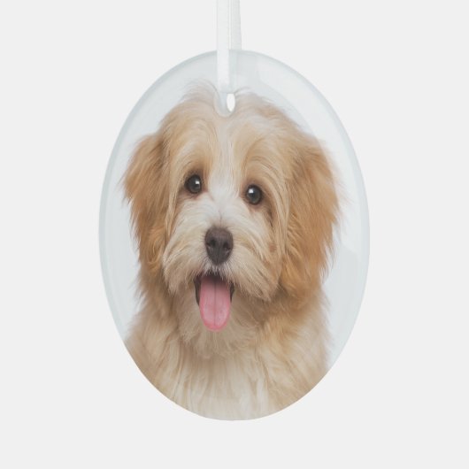 Aangepaste kerstfeestdag met foto's glas ornament (Voorkant links)