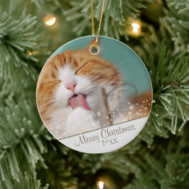 Aangepaste kerstfeestdag met wieltjes voor kattenv keramisch ornament