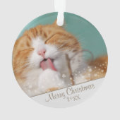 Aangepaste kerstfeestdag met wieltjes voor kattenv ornament (achterkant)