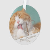 Aangepaste kerstfeestdag met wieltjes voor kattenv ornament (voorkant)