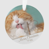 Aangepaste kerstfeestdag met wieltjes voor kattenv ornament (voorkant)