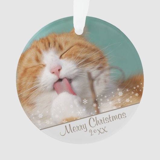 Aangepaste kerstfeestdag met wieltjes voor kattenv ornament (voorkant)