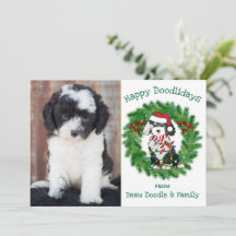 Aangepaste kerstfoto's Sheepadoodle Holiday