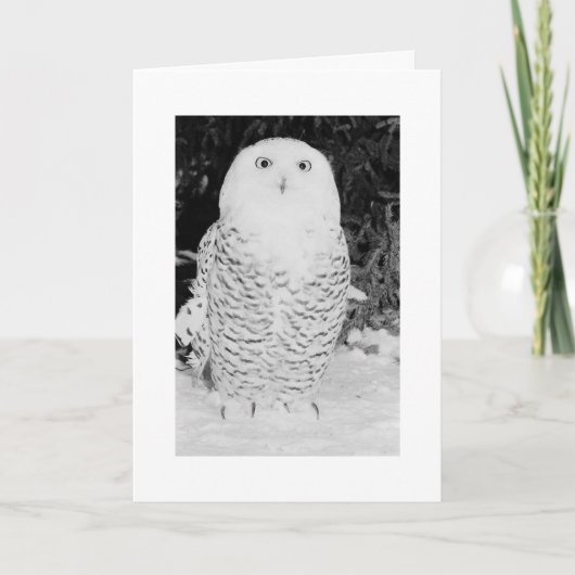 Aangepaste kerstkaart Feestdagen Winteroowl (Voorkant)