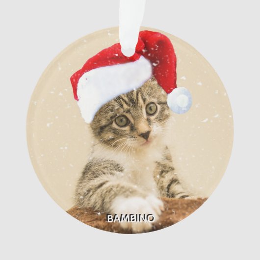 Aangepaste kerstliedjes kattenfoto gepersonaliseer ornament (voorkant)