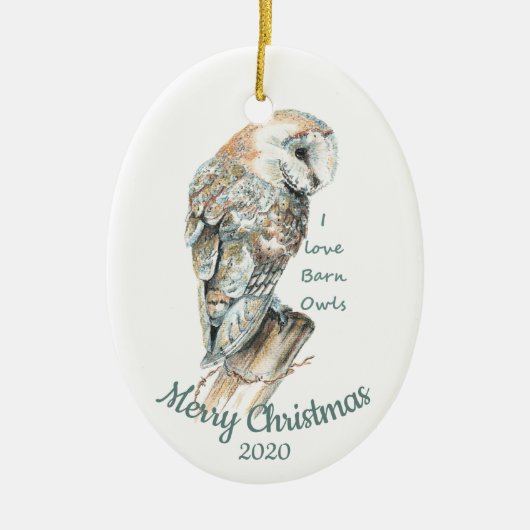 Aangepaste kerstWaterverf Barn Owl Bird Keramisch Ornament (Voorkant)