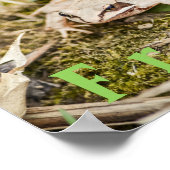Aangepaste "Kikkers" Amfibieën Bos kikker poster (Hoek)