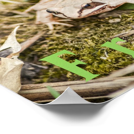 Aangepaste "kikkers" Amphibians Poster van houtkik (Hoek)
