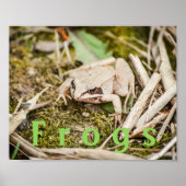 Aangepaste "kikkers" Amphibians Poster van houtkik (Voorkant)