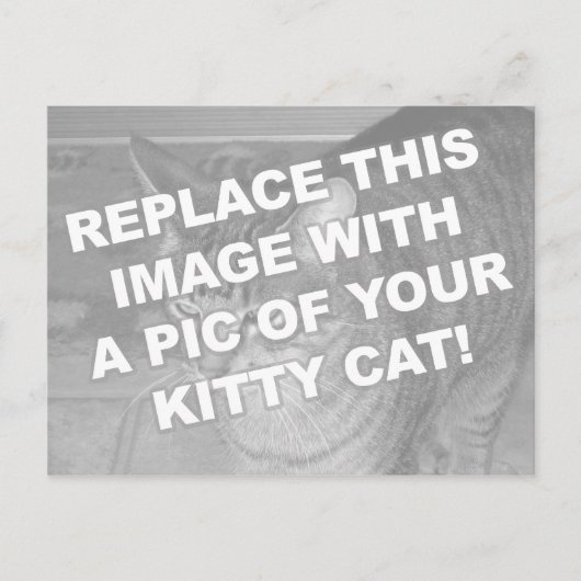 Aangepaste Kitty Kat Briefkaart (Voorkant)