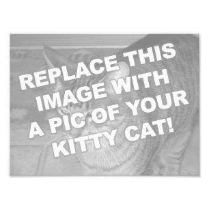 Aangepaste Kitty Kat Foto Afdruk