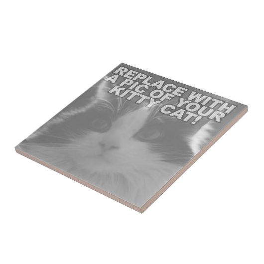 Aangepaste Kitty Kat Tegeltje (Zijkant)