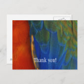 Aangepaste kleurrijke ara papegaai veer dank je briefkaart (Voorkant / Achterkant)