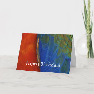 Aangepaste kleurrijke Macaw Parrot Feather Verjaar Kaart