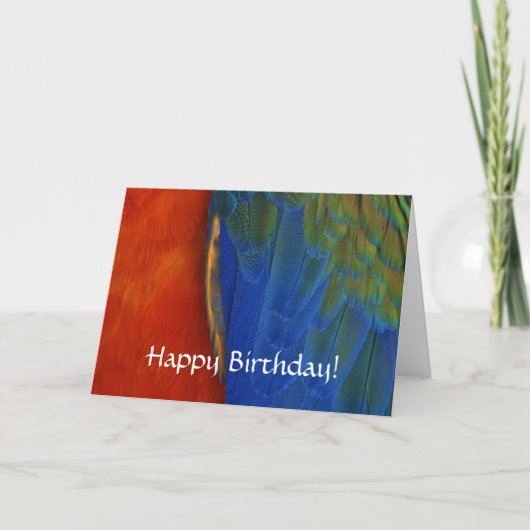 Aangepaste kleurrijke Macaw Parrot Feather Verjaar Kaart (Voorkant)