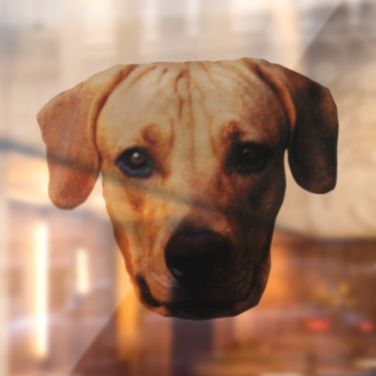 Aangepaste koeling voor aangepaste koepelvensters raamsticker (Vel 2)