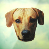 Aangepaste koeling voor aangepaste koepelvensters raamsticker (Vel 3)