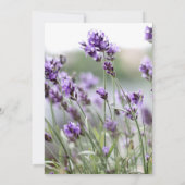 Aangepaste lavender Bohemian Wedding Invitations Kaart (Achterkant)