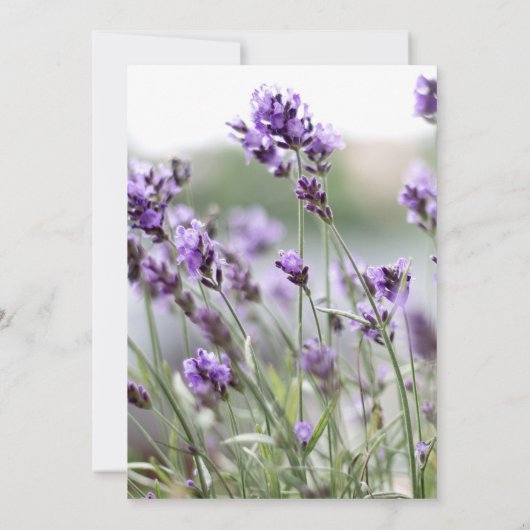 Aangepaste lavender Bohemian Wedding Invitations Kaart (Achterkant)