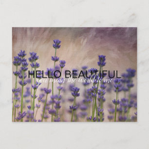 Aangepaste Lavender Flowers Briefkaart