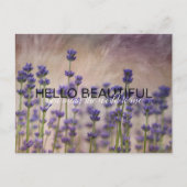 Aangepaste Lavender Flowers Briefkaart (Voorkant)