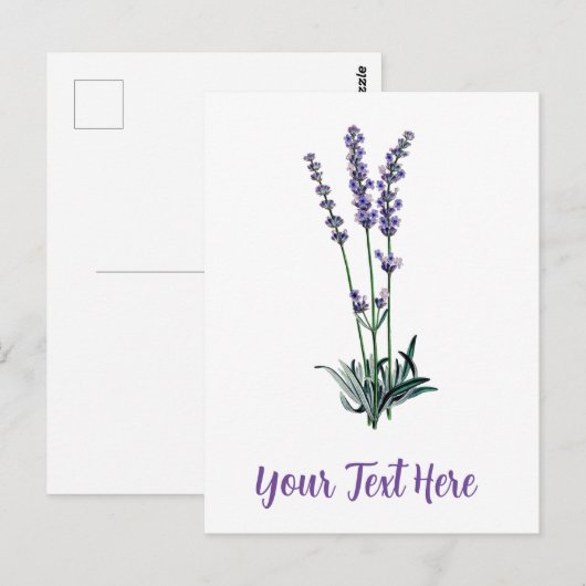 Aangepaste  lavenderventiel briefkaart (Voorkant / Achterkant)