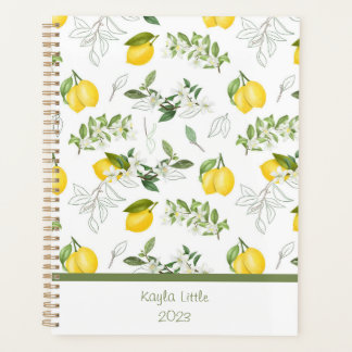 Aangepaste lemon- en ventilatorpaner planner