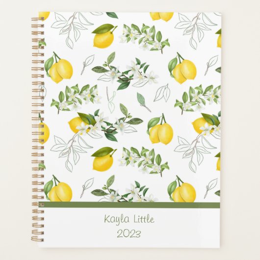 Aangepaste lemon- en ventilatorpaner planner (Voorkant)
